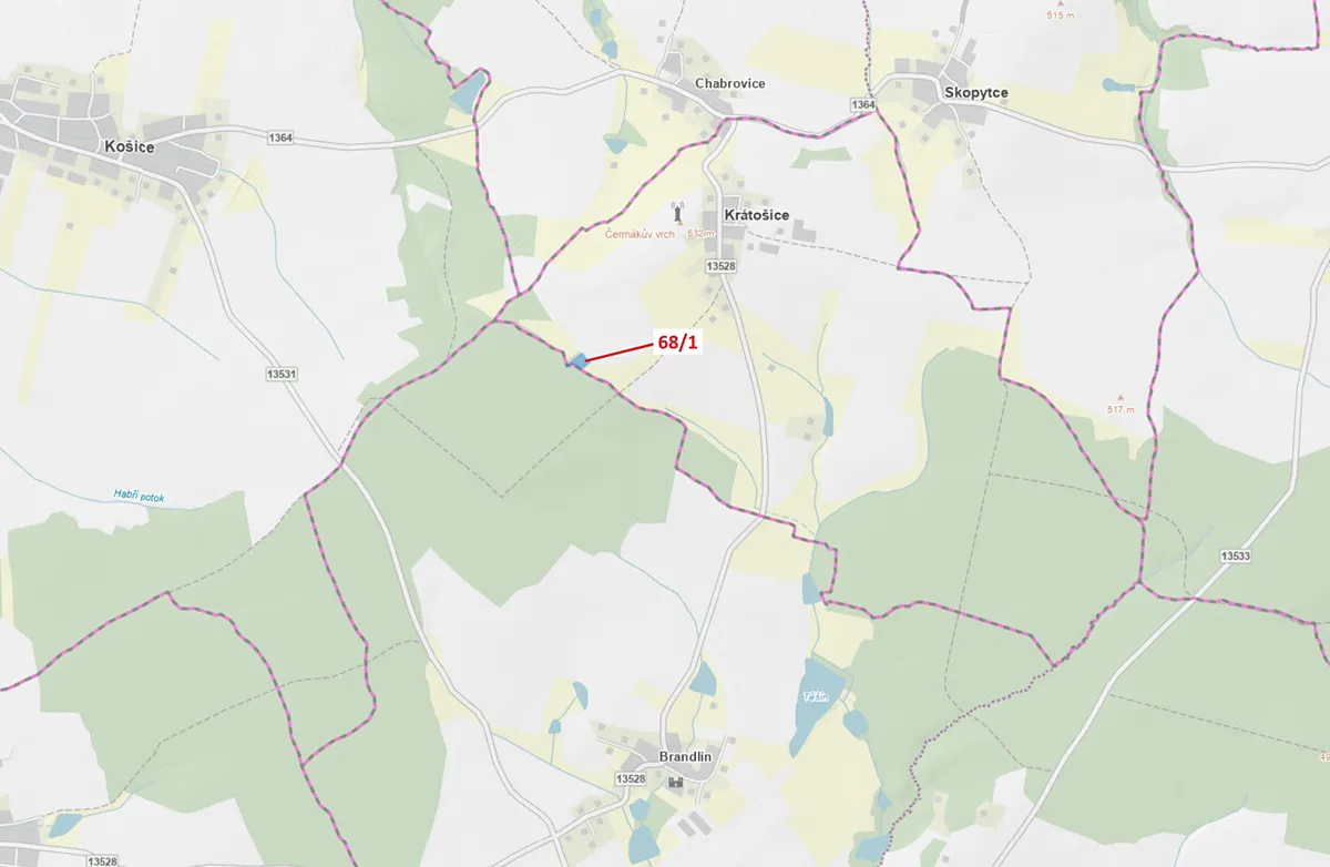 Dražba lesa 2849 m²